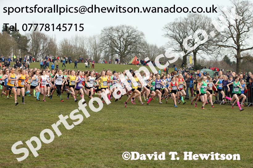 Girls under-13s 2016 Inter Counties Cross Country Champs. and Cross Challenge Final, Cofton Park, Birmingham. Photo: David T. Hewitson/Sports for All Pics